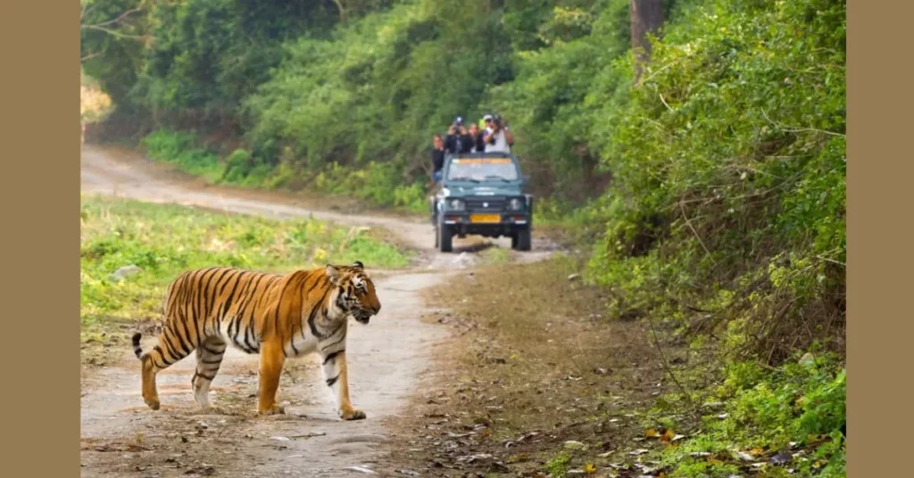 Where is Jim Corbett National Park is Located?